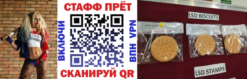 Наркошоп купить Псилоцибиновые грибы  Метадон  Мефедрон  Кокаин  ГАШ  А ПВП  Княгинино