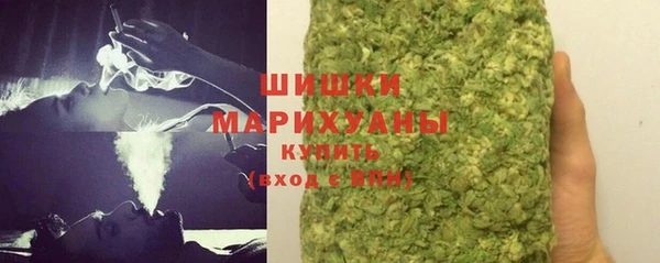 сатива Новодвинск
