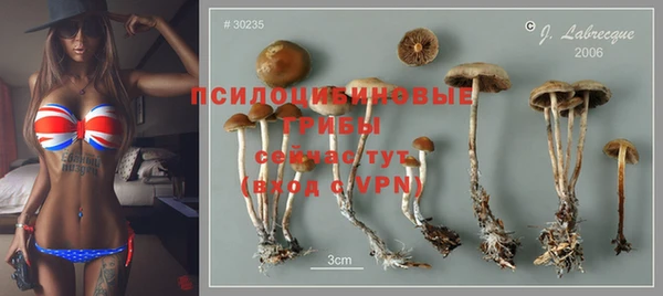 экстази Новозыбков